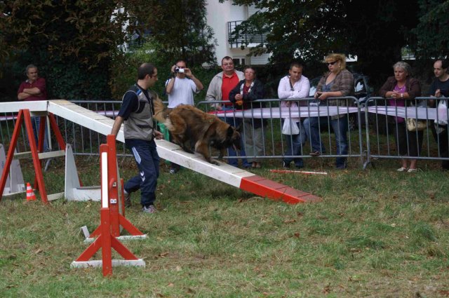 foire-haricots 2011-09-17et18